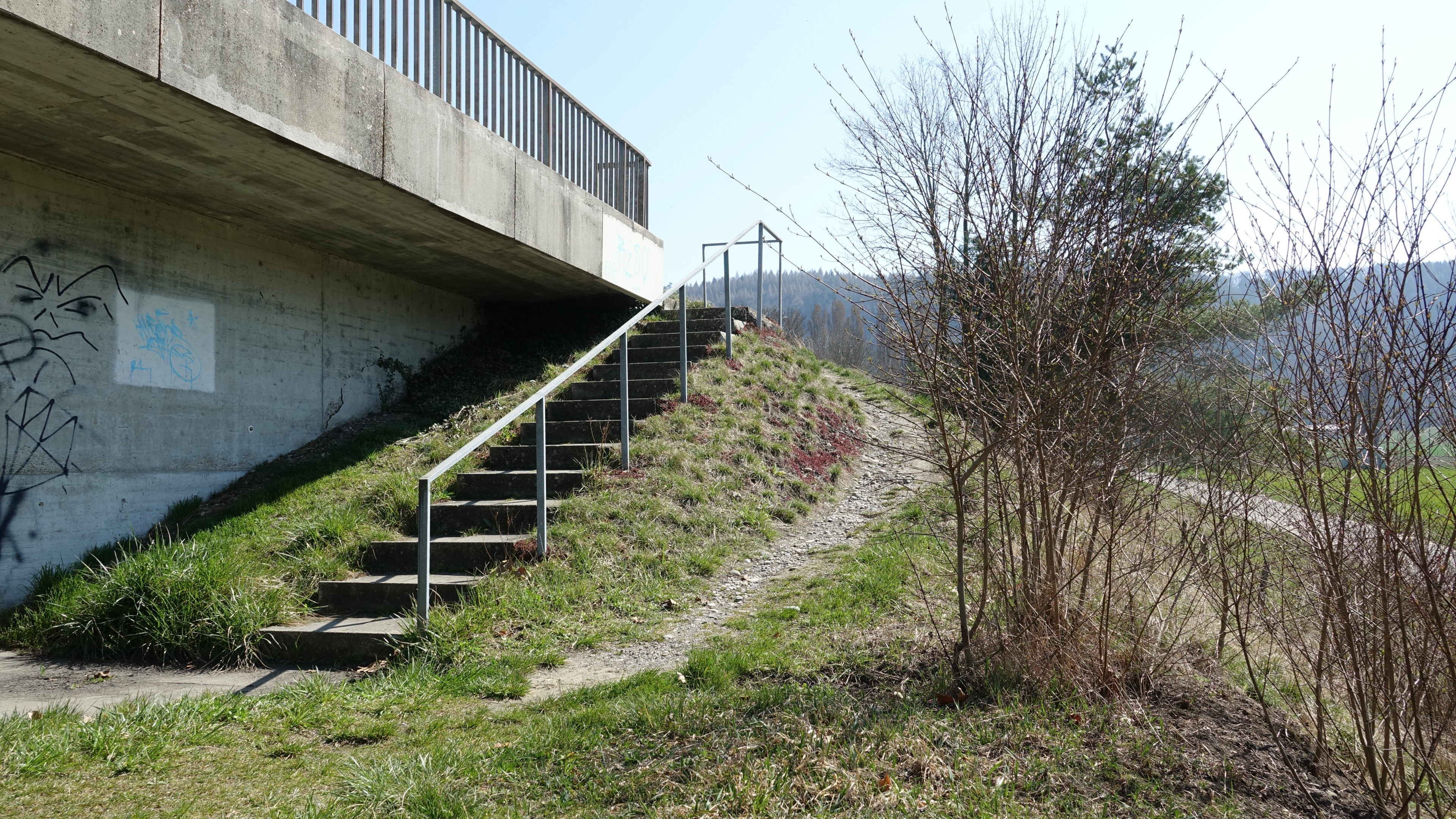 Bisheriger Lebensraum der Quendelschnecke bei der südlichen Böschung der St. Johannsen Brücke