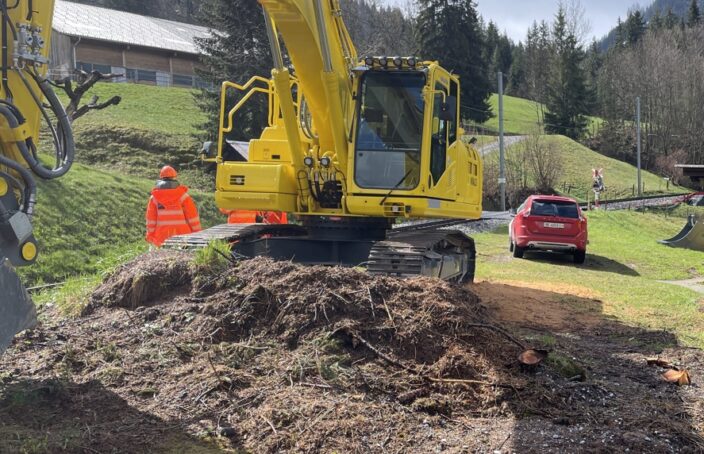 Umsiedlung Ameisenhaufen