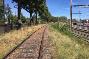 Prona_IMG_5644