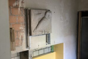 IMG_6552