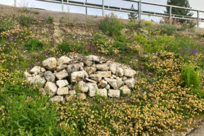 P20324_UB Wehrbrüke Port 7